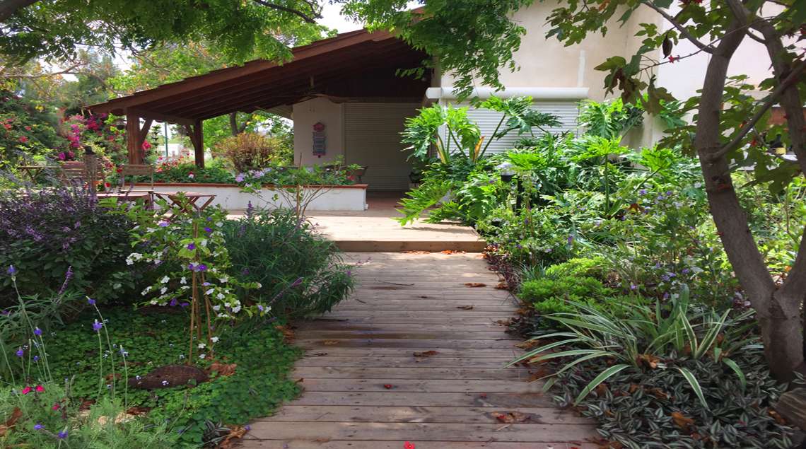 שביל מדק עץ ומשני צדדיו צמחייה ירוקה של צמחי צל