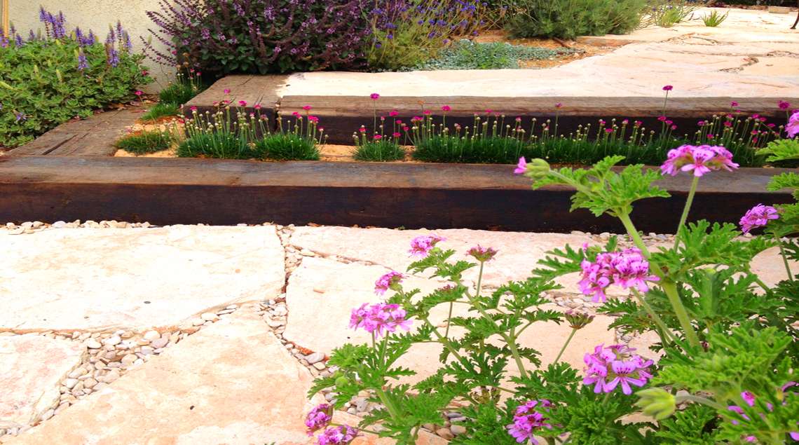 גרניום וורוד ומאחוריו מדרגות מאדני רכבת שביניהן שתולים פרחים קטנים וורודים.