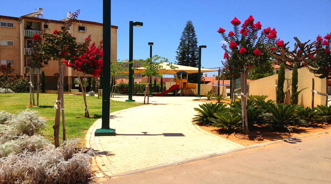 עצים עם פריחה מרהיבה בצבע בורדו משני צידי השביל.