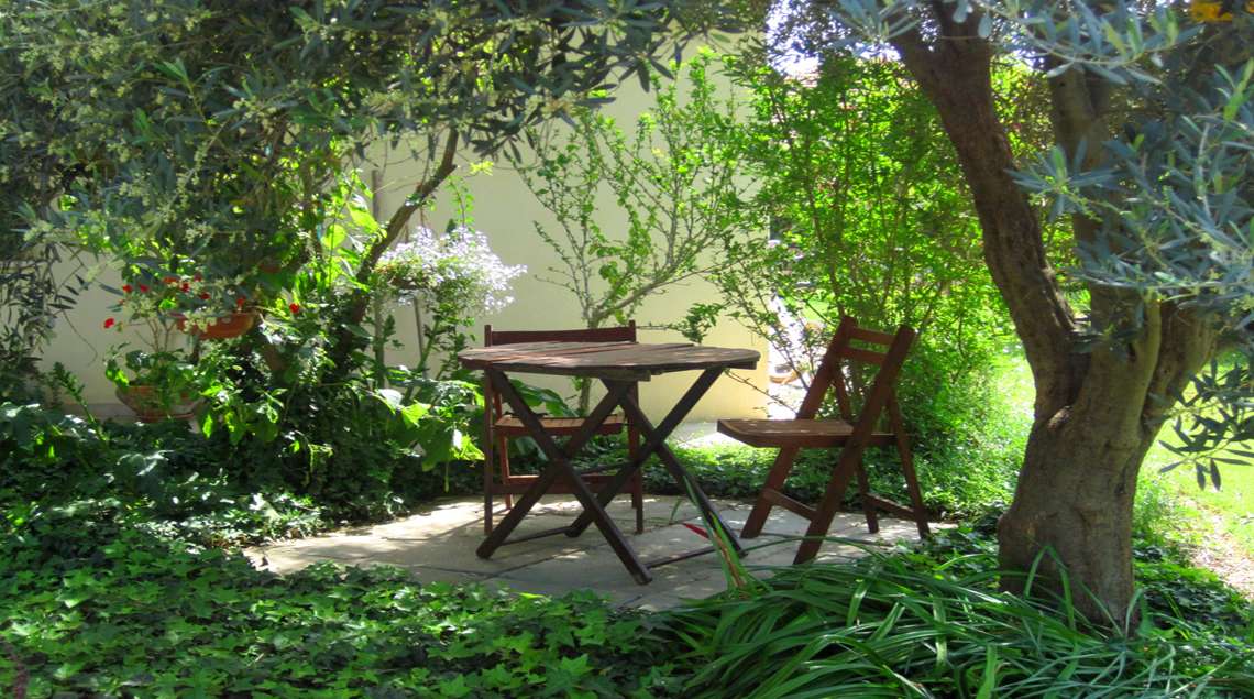 פינת ישיבה אינטימית בסגנון ים תיכוני מתחת לעץ זית וקיסוס