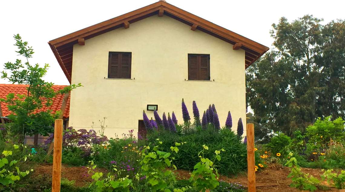 בית בסגנון טוסקני. הרקע פריחות סגולות וגפן מטפסת. בצד אקליפטוס וותיק.