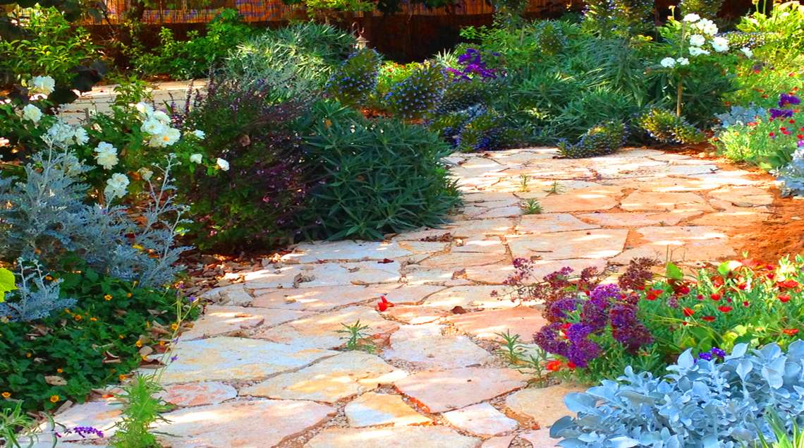 שביל אבן פראית עם צמחייה בשוליו. פריחות סגולות ולבנות.