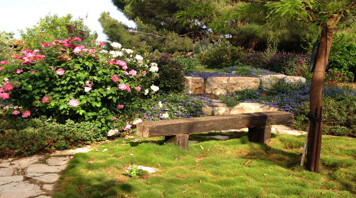 ספסל מאדן רכבת על דשא גבעות ומסביב ורדים לבנים וורודים.