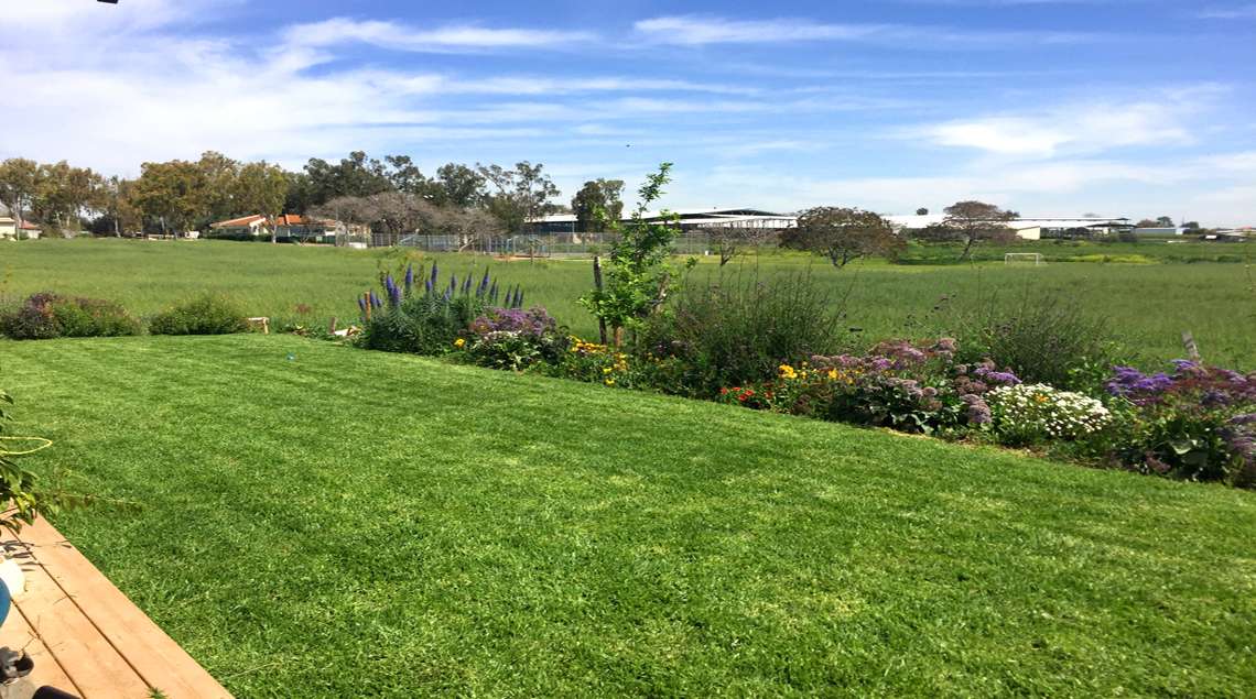 ירוק של דשא עם ירוק של שדה חיטה וביניהם ערוגה פורחת בסגול, כתום ולבן.