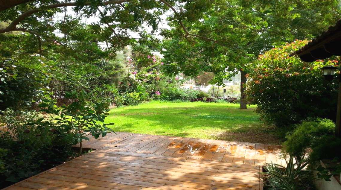 דק עץ נושק למדשאה ובה עץ צל.