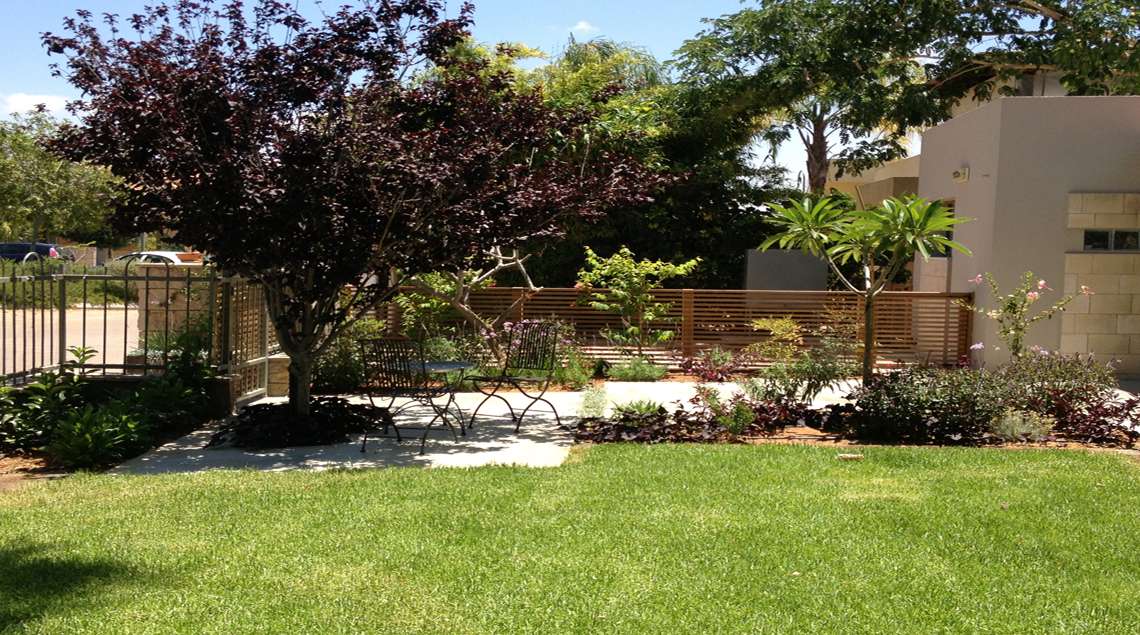 מבט מהמדשאה לפינת הישיבה שתחת השזיף.