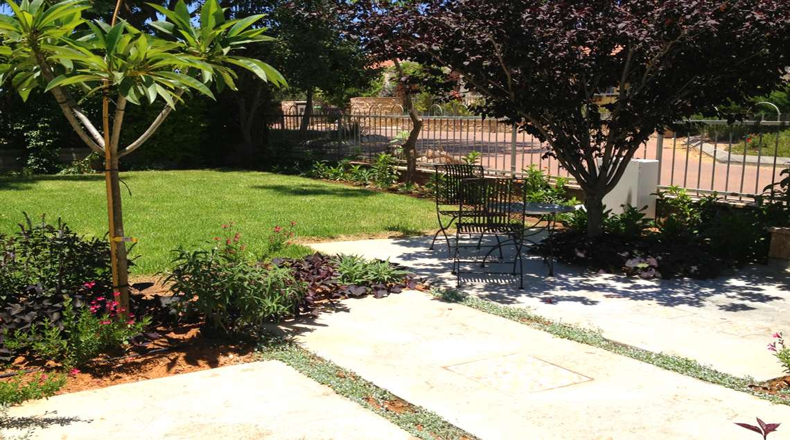 שביל העשוי פלטות בטון מוחלק וביניהן צמח משתרע בצבע כסף. בקצה השביל עץ מרשים עם עלים בצבע בורדו.