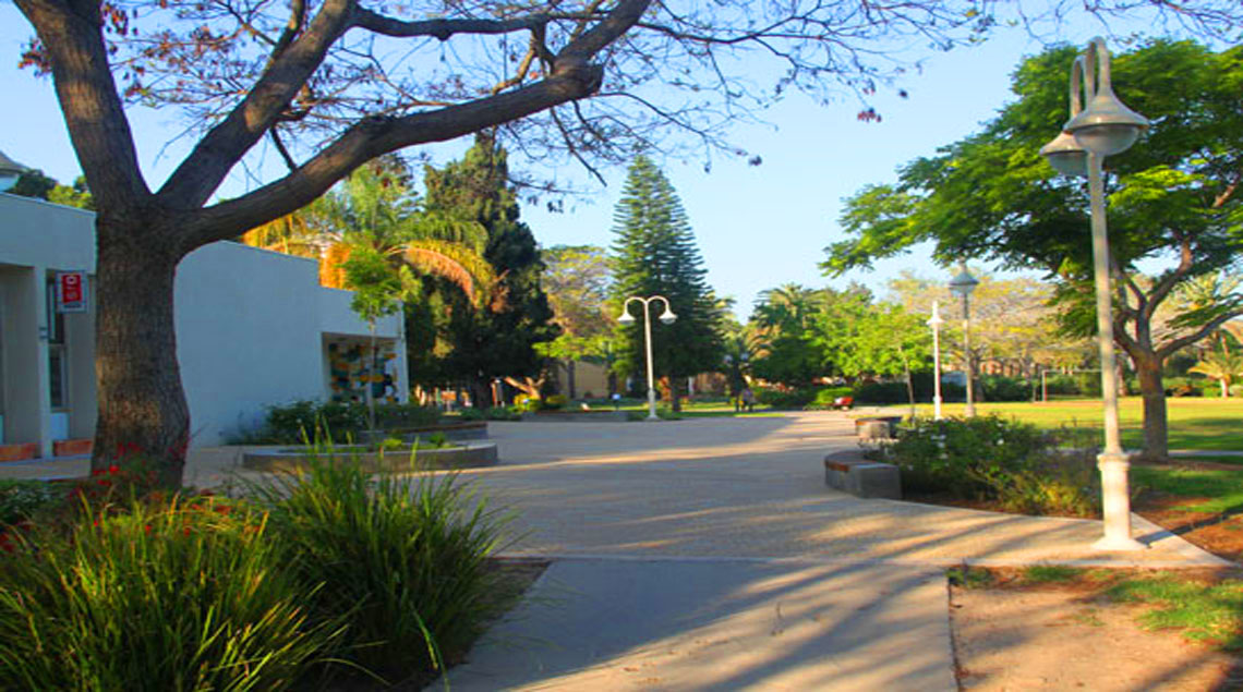 מבט לרחבה מהשביל הצפוני.