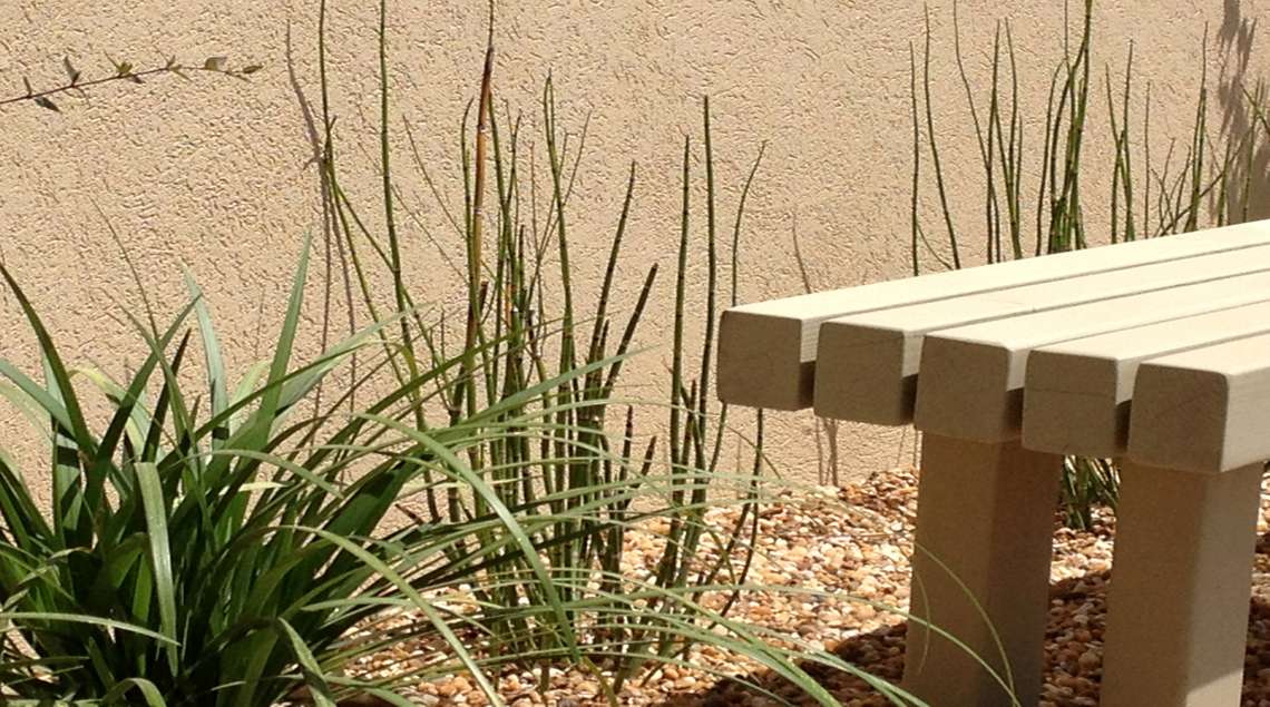 מבט צד על קצה ספסל עץ בצבע שמנת שמצדו צמחים ירוקים.