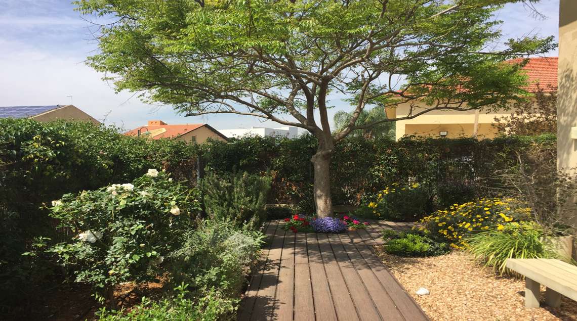 שביל מדק. מצידיו ערוגות ובקצהו ערוגה עגולה ובה שתול עץ גדול.