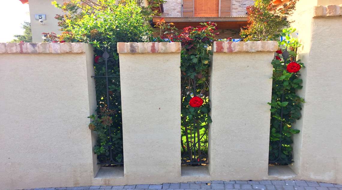 חומת אבן עם סורג ברזל ועליו משתרג ורד אדום.