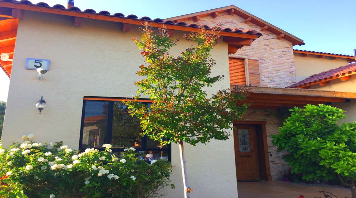 שיח ורדים לבן מתחת לחלון מטבח. ולצידו עץ קטן מלבלב