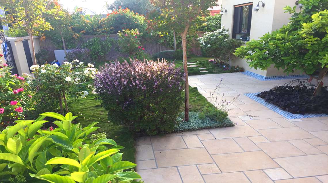 רחבה מרוצפת אבן וסביבה דשא גבעות וערוגות פורחות בלבן וסגול.