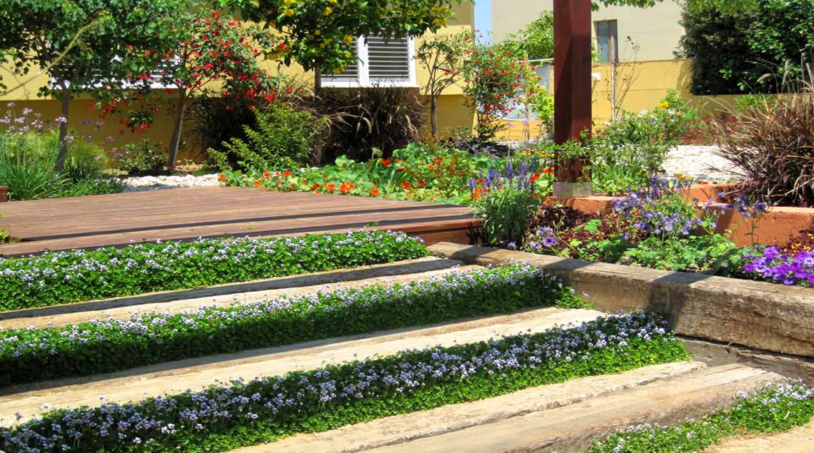 מדרגות מאדני רכבת וביניהם סיגליות.