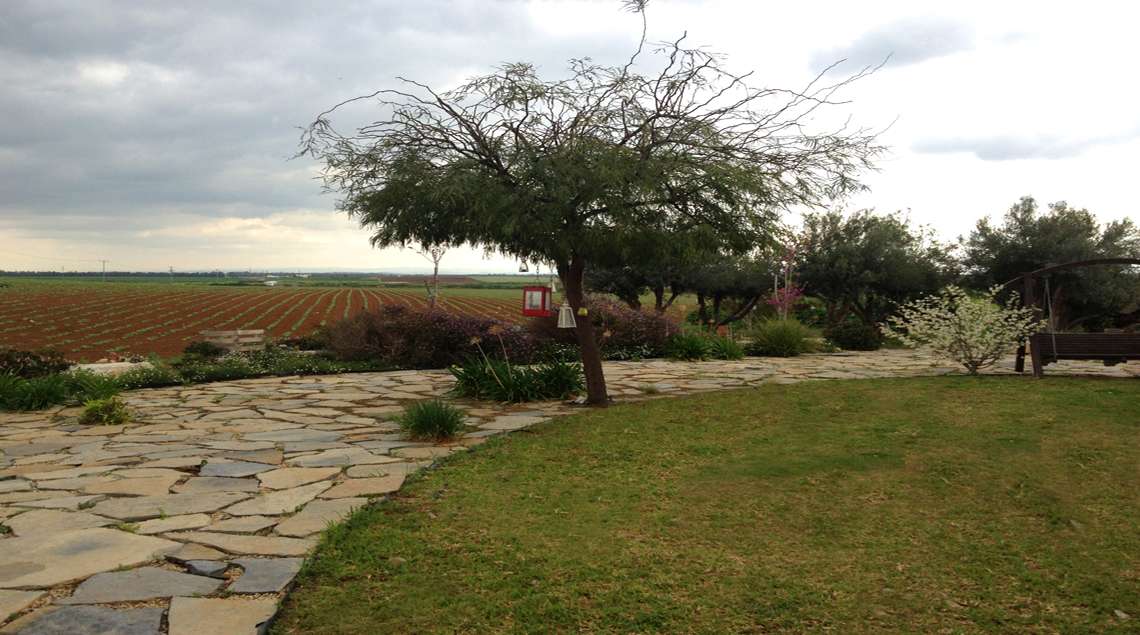 מדשה ולאורכה מתפתל שביל אבן פראית. בקצה עץ ינבוט.