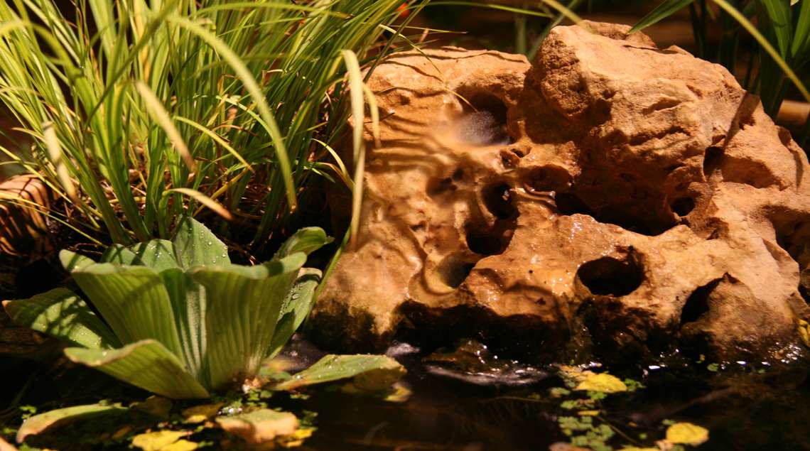 אלמט מים של סלע קטן עם צמחיית מים מואר בתאורת לילה בגינה.