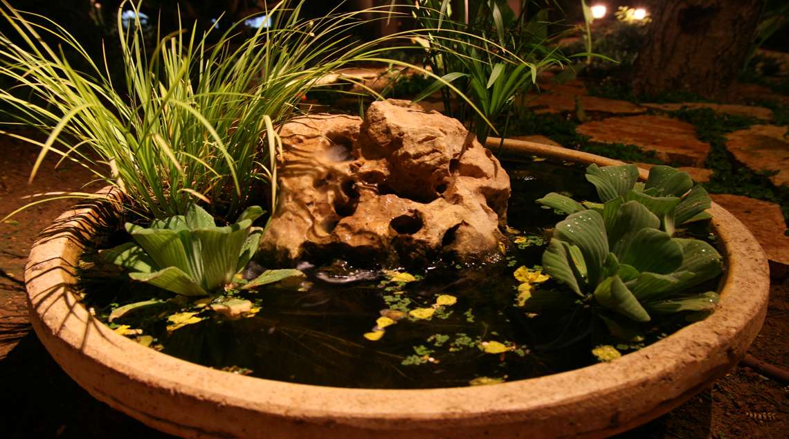 אלמנט מים של סלע קטן וצמחיית מים בתוך קערת חרס.