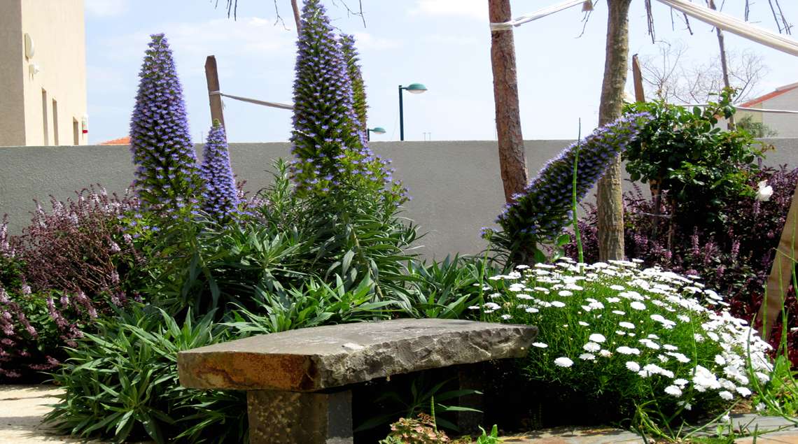 ספסל אבן מוקף צמחייה