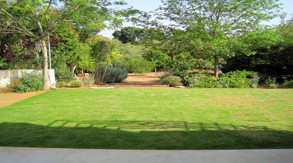 מדשאה ובקצה ירידה לבוסתן עצי פרי.