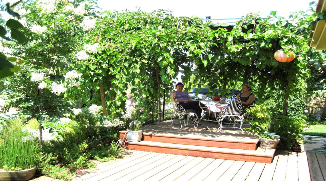 סוכה מעצי תות בכות ובתוכה פינת ישיבה חמודה.