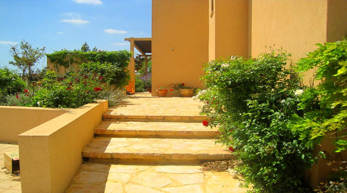 וורדים לבנים ואדומים לאורך שביל כניסה לבית