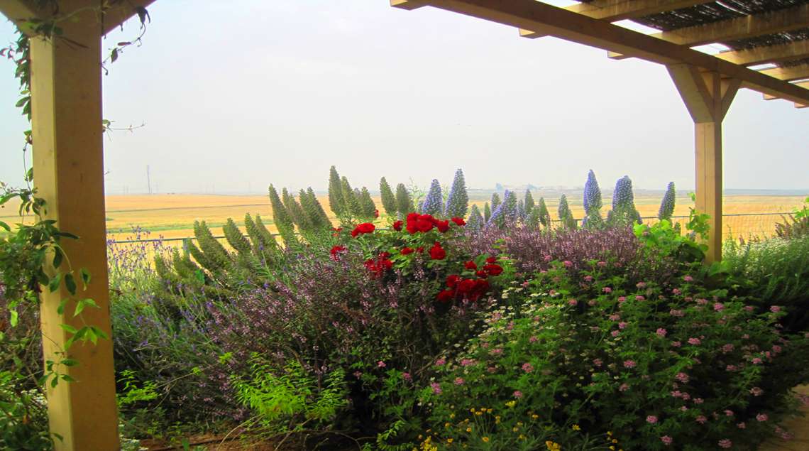 ערוגה פורחת באדום וסגול מול השדות.