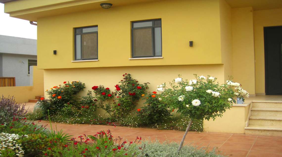 ורדים פורחים באדום, כתום ולבן משני צידי השביל.