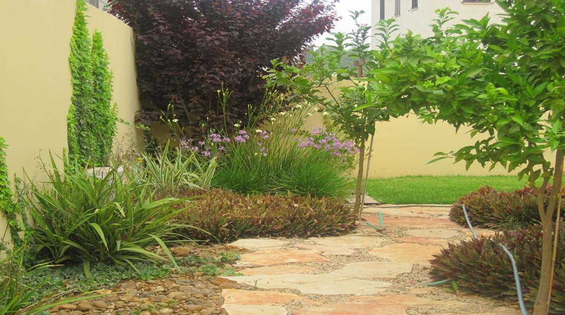 שביל אבן פראית ומצדיו הדרים וצמחייה ירוקה.