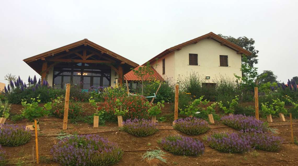 מבט מהשדות לכיוון הבית.