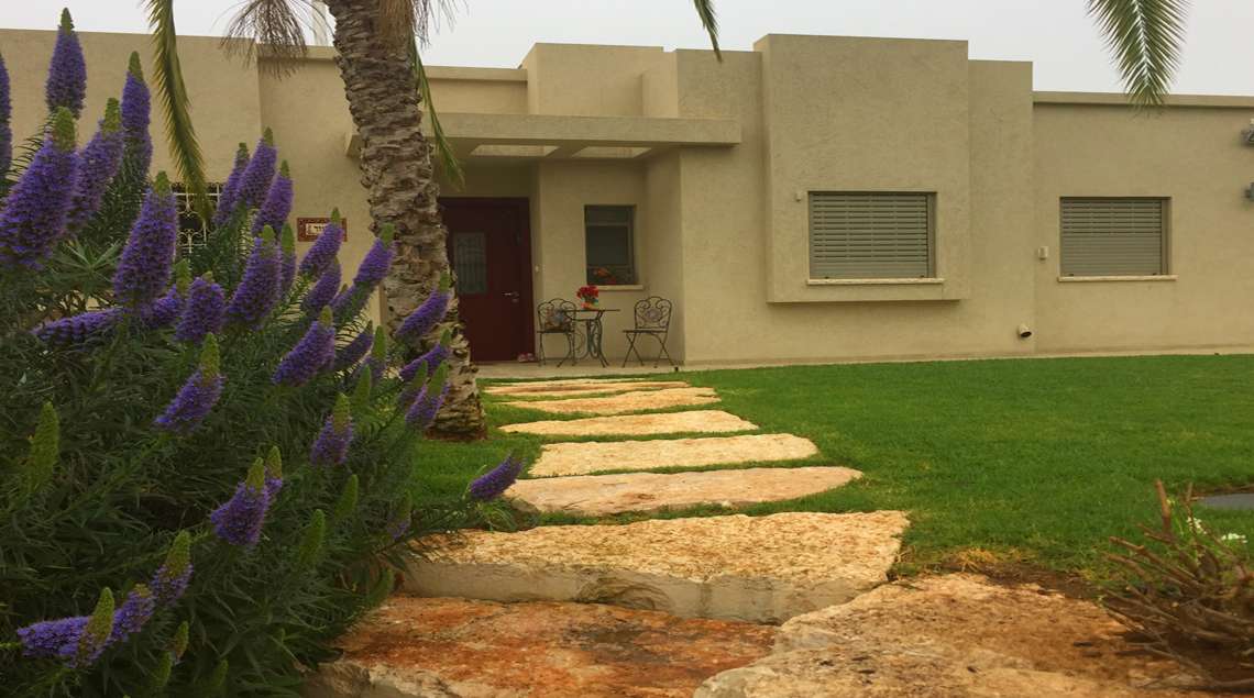 שביל אבני מדרך גדולות בתוך הדשא ושיח פורח בסגול לצדו.