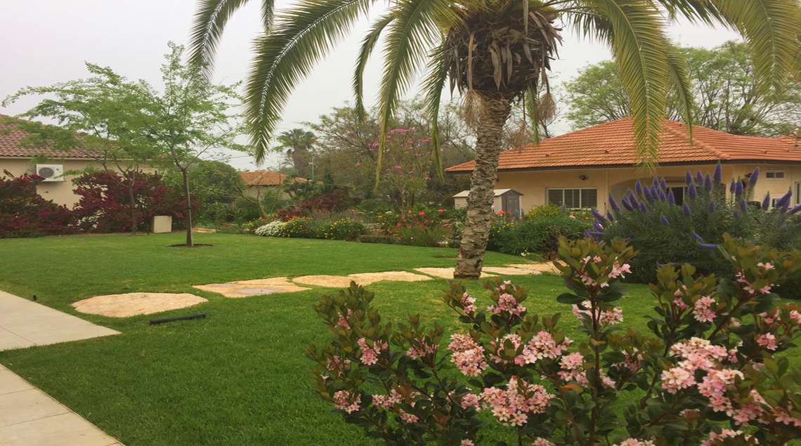 שביל אבני מדרל בתוך מדשאה גדולה. לצד עץ תמר וצמחייה סביב.