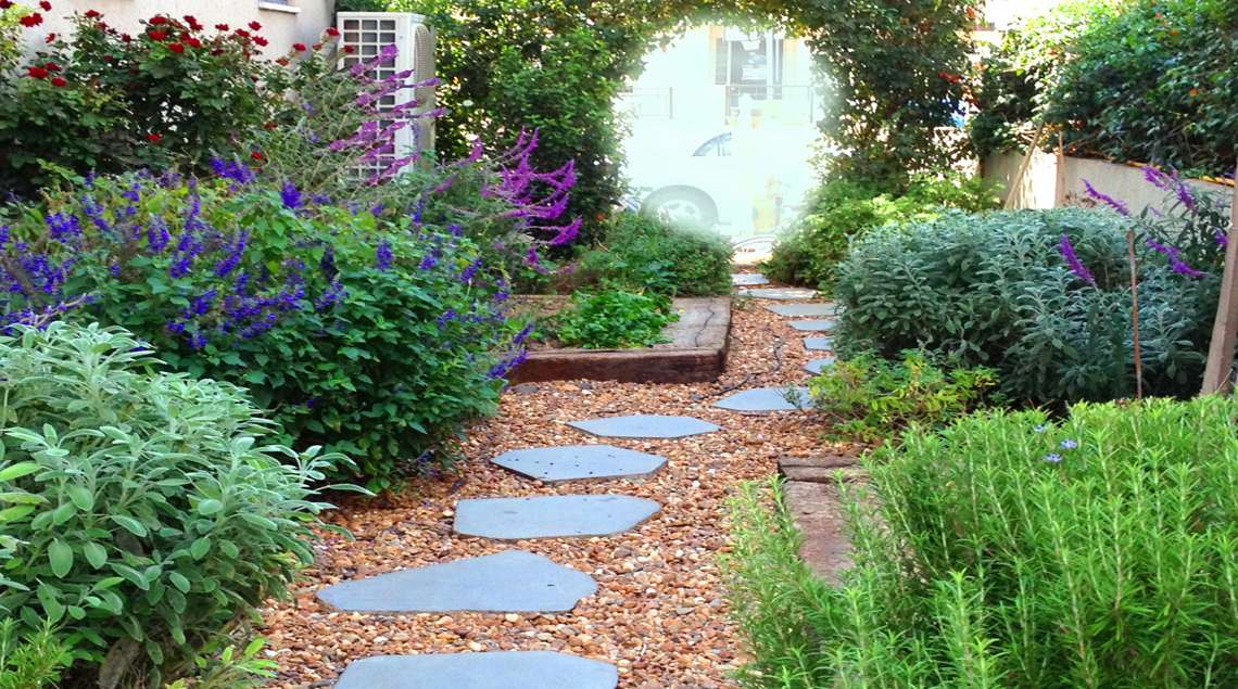 גן של צמחי תבלין ובאמצע עובר שביל של אבני מדרך בצבע אפור וביניהן חלוקים קטנים בגוונים של חום וצהוב.