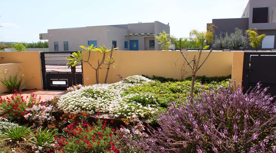 שיחים פורחים בסגול, לבן, אדום וצהוב.