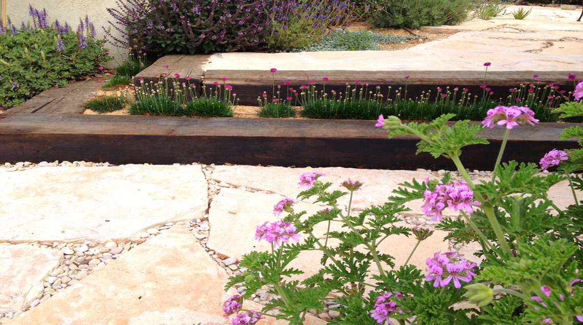 שילוב של צמחים וורודים: גרניום לימוני ומדרגות מאדני רכבת וביניהן פרחים וורודים קטנים ומודים.