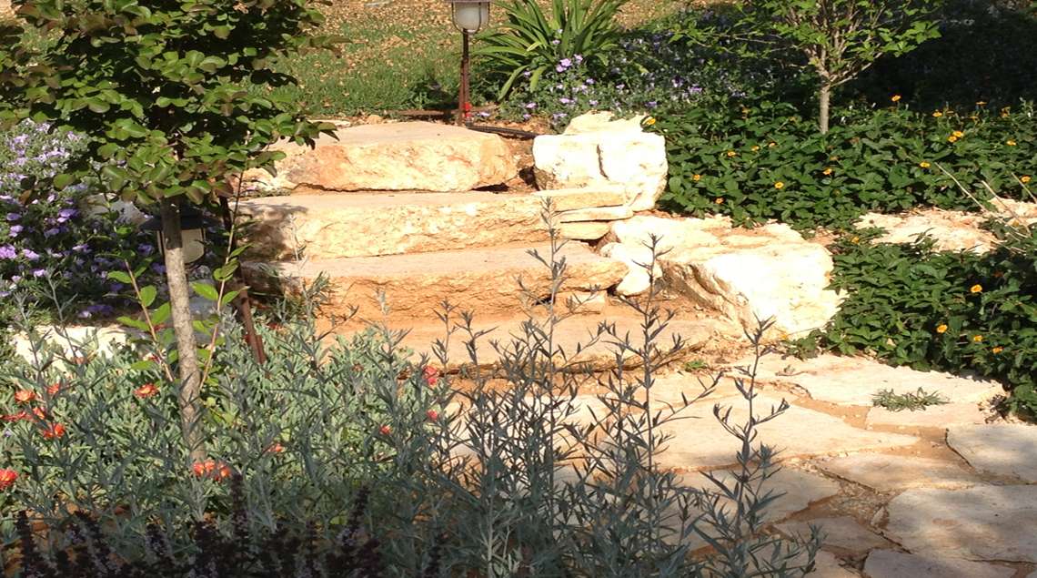 מדרגות סלע בתוך הטרסה שמובילות מהשביל התחתון למדשאה העליונה. סביב צמחים ירוקים ואפורים.