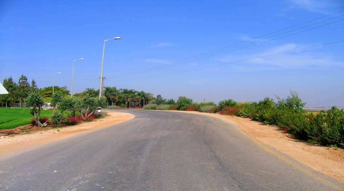 כביש מתפתל ומשני צדדיו שיחים פורחים בוורוד ואדום.