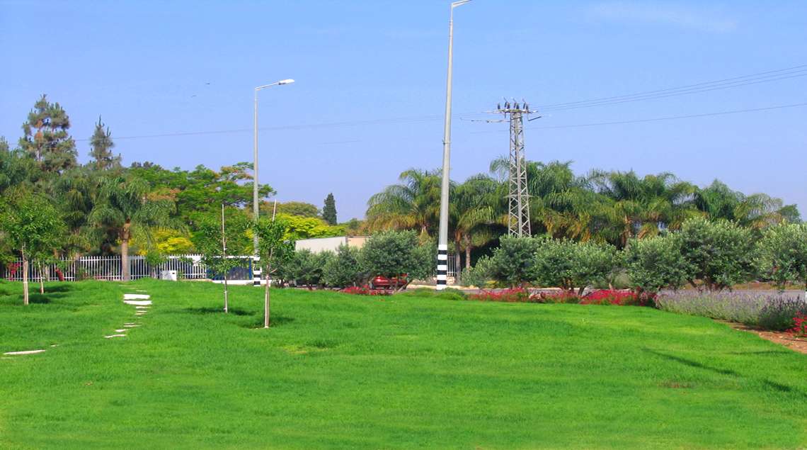 מדשאה עם שביל אבני מדרך בתוכה.