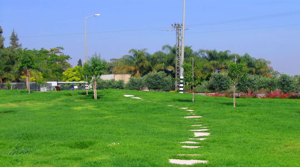 מדשאה עם שביל אבני מדרך בתוכה.