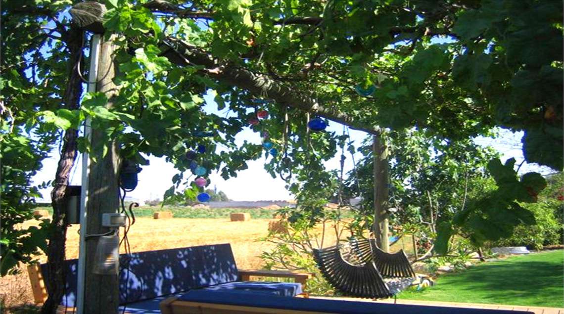 ספות ישיבה כחולות תחת סוכת גפנים אל מול נוף של שדות