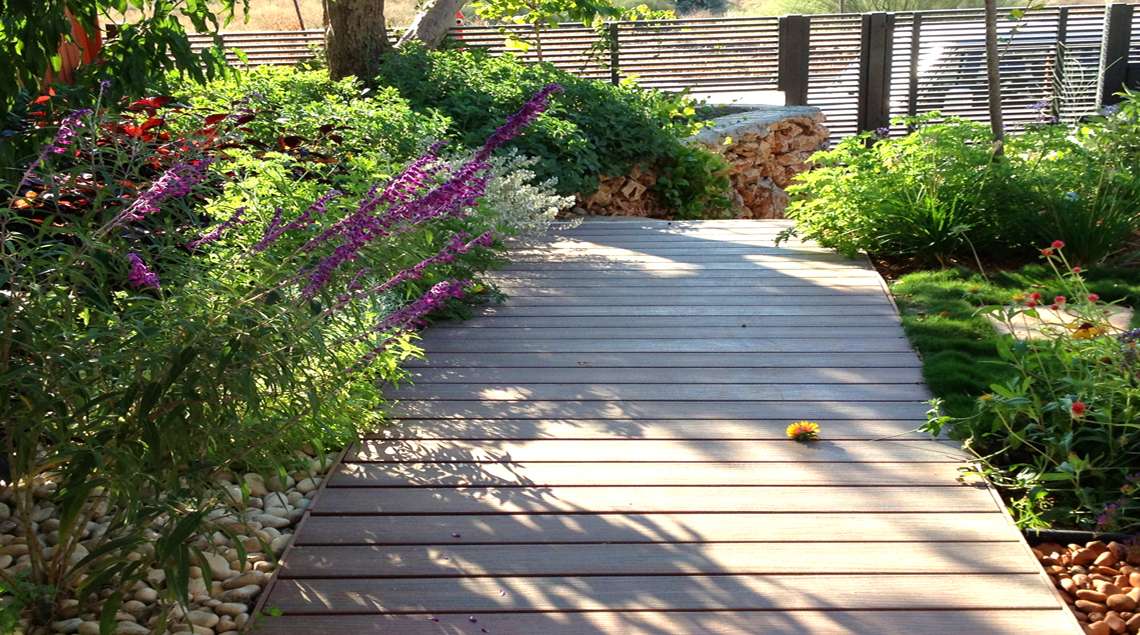 שביל מדק עץ עם מרוות סגולות מצדדיו.