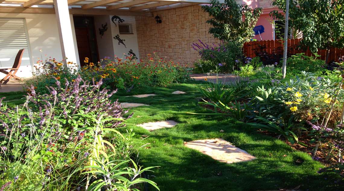 דשא גבעות עם אבני מדרך בהירות וערוגות פורחות בצבעי כתום וסגול