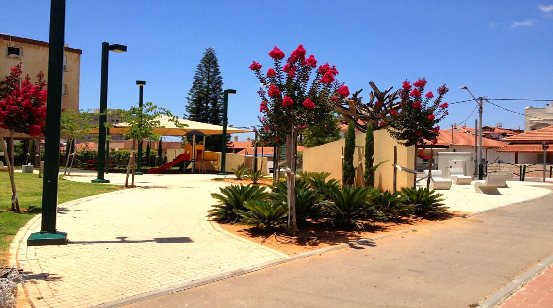 עצים פורחים בצבע בורדו ומתחתם ציקסים נמוכים.