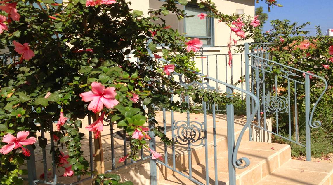 מעקה מדרגות מברזל בצבע כחול ועליו משתרג היביסקוס וורוד.