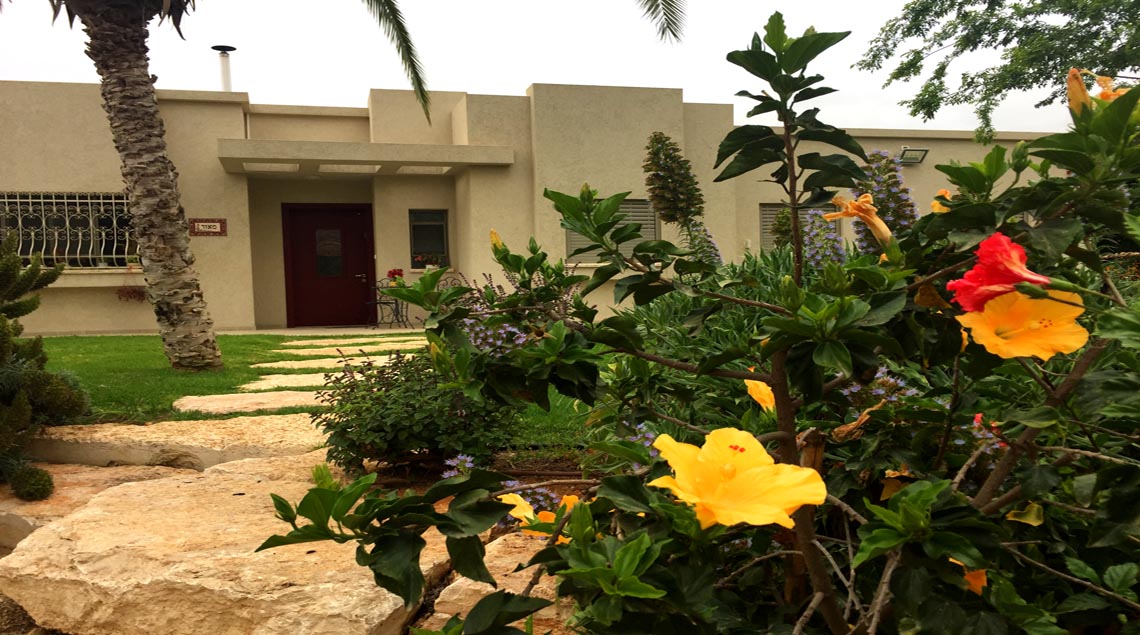 היביסקוס צהוב ליד מדרגות האבן העולות לדשא.