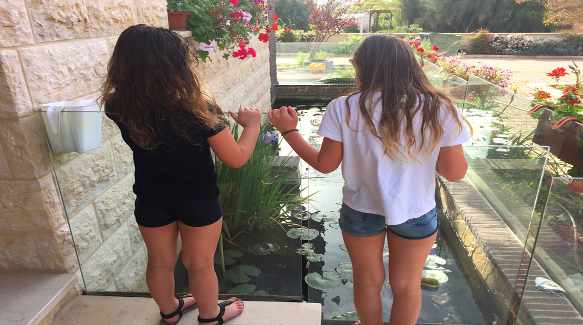 שתי ילדות עומדות מעל לבריכת נוי ומסתכלות על הדגים