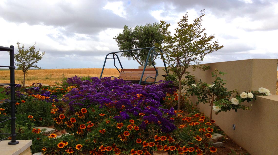 פינת נדנדה על השדות ולפניה פריחה עזה בכתום וסגול