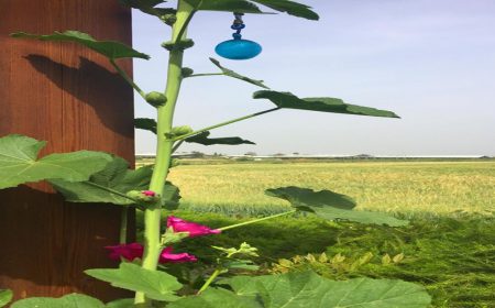 בעין המצלמה-לקוחות משתפים