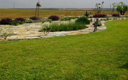 משק בנהורא אל מול השדות