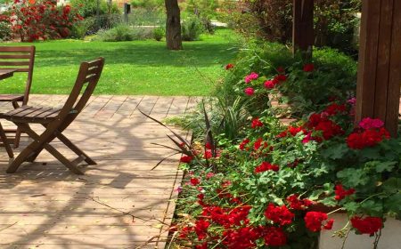 עיצוב מחדש של גינה במשק וותיק