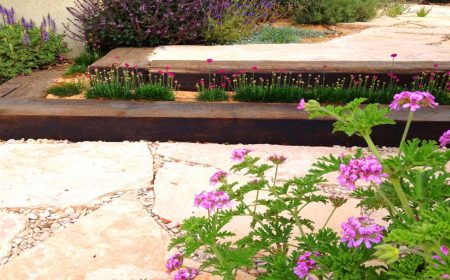 משק באביגדור